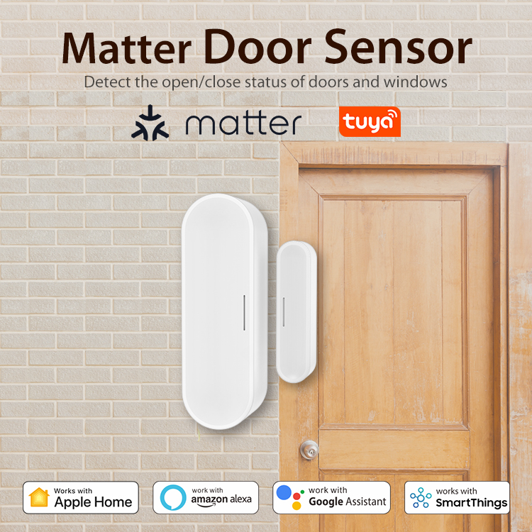 Tuya Smart Door Window Sensor  - Home Security Battery ulasan dan harga