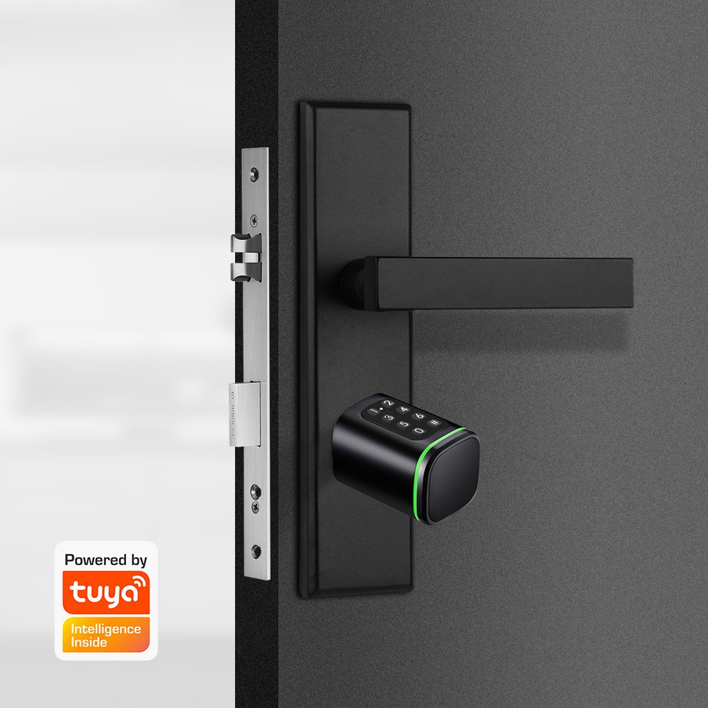 Smart Cylinder Lock Tuya 60-90 - Home Security Ideas ulasan dan harga